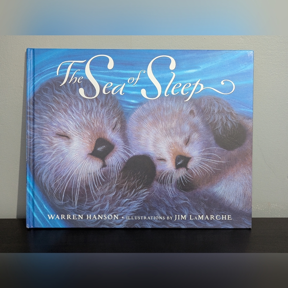 4/$10 📚 The Sea‎ of Sleep by Warren Hanson By Warren Hanson
